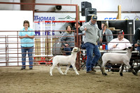 Williston Livestock Show 2022