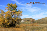 North Dakota D
