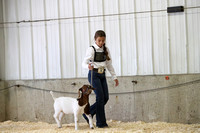 NDSF 2022 4-H goat show