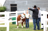 Glendive 2025 livestock show