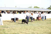 McKshowmanship22a 006