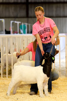 Minot Shootout