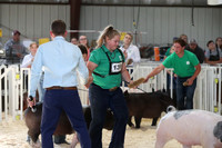 NDSf 20224-Hpigs 025