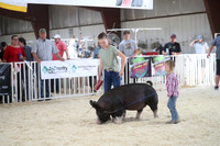 NDSF2022showmanship 1009